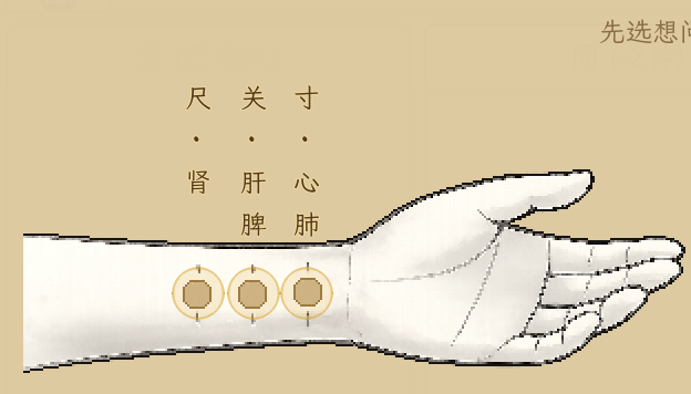 寸关尺 竖排重排后